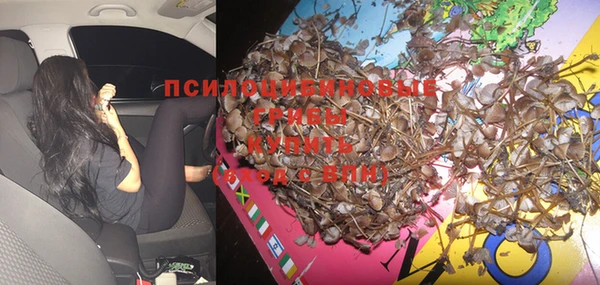 прущая мука Армянск
