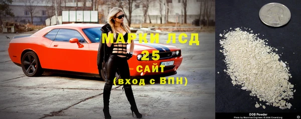 прущие грибы Алексеевка