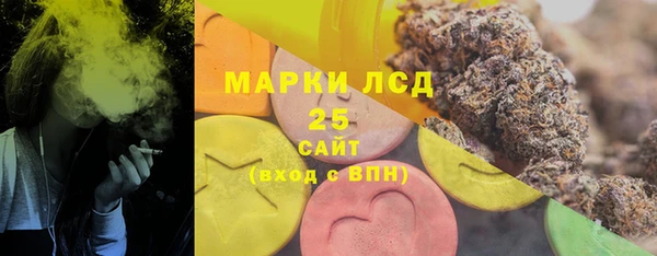 PSILOCYBIN Аркадак